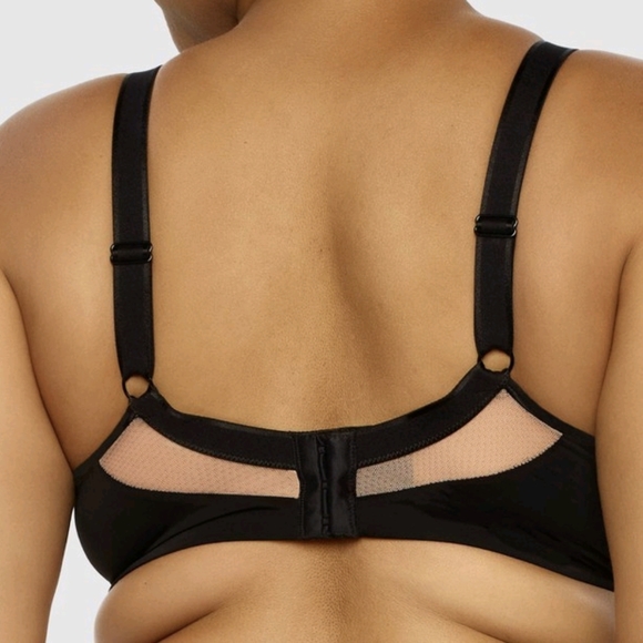 Paramour Amaranth Contour T-Shirt Bra - Picture 3 of 8